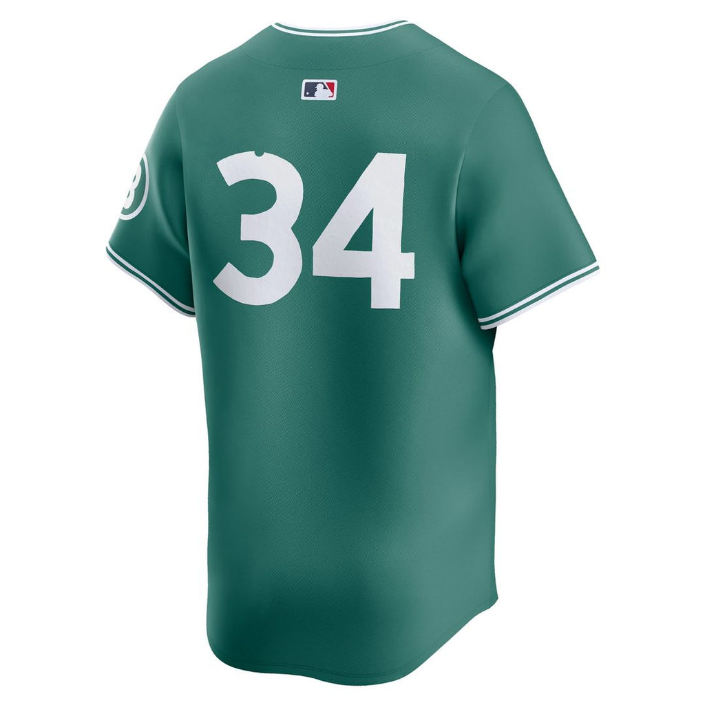 David Ortiz Boston Red Sox Nike 2025 City Connect Limited Retired Player Jersey - Green | MLB Fan Gear