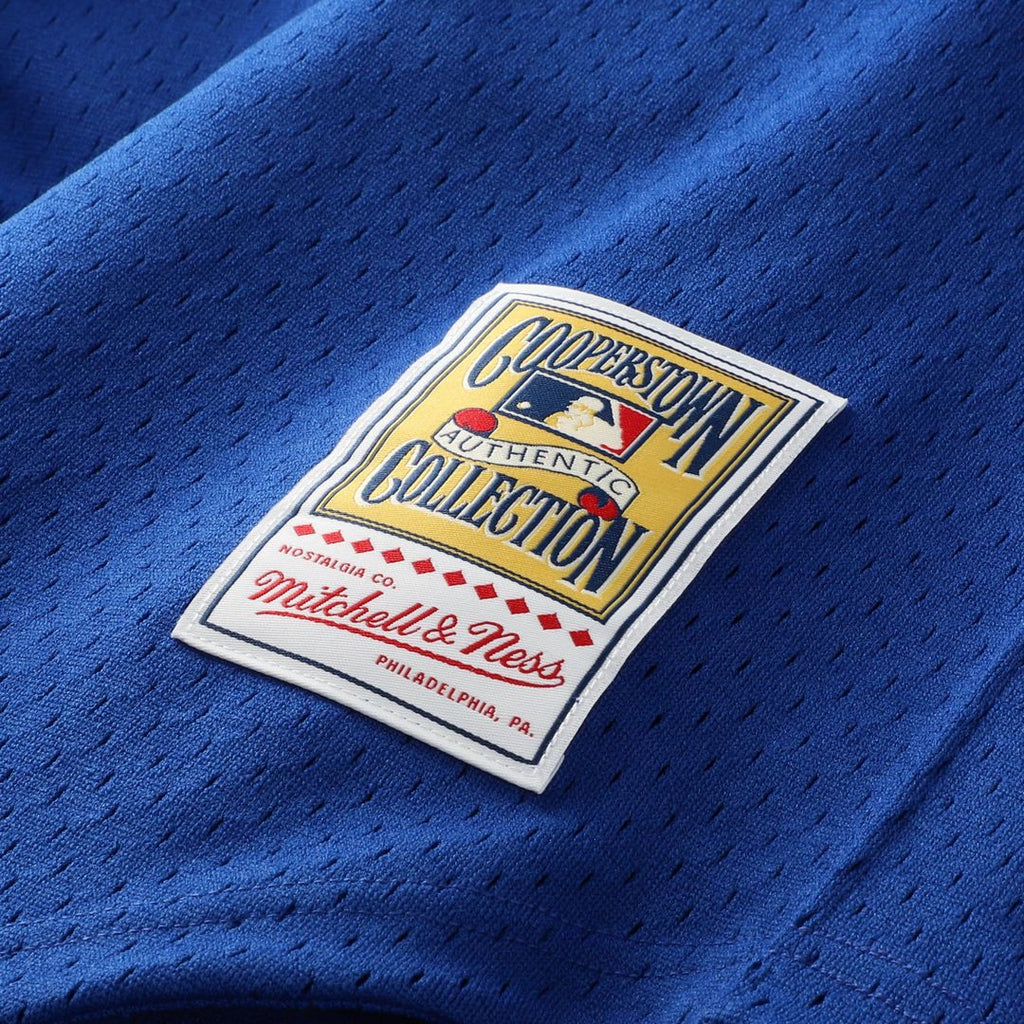 Ken Griffey Jr. Seattle Mariners Mitchell & Ness Authentic Batting Practice Jersey - Royal | MLB Fan Gear