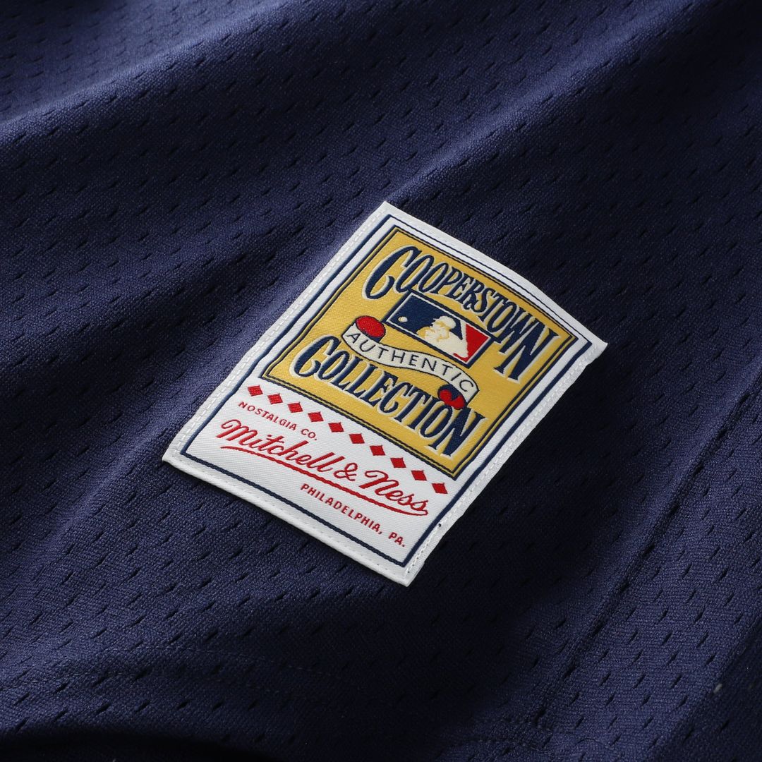 Alan Trammell Detroit Tigers Mitchell & Ness Authentic Batting Practice Jersey - Navy | MLB Fan Gear