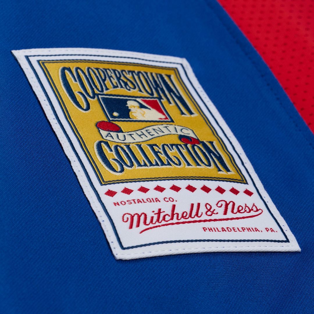 Adrian Beltre Texas Rangers Mitchell & Ness Cooperstown Mesh Batting Practice Button-Up Jersey - Royal | MLB Fan Gear