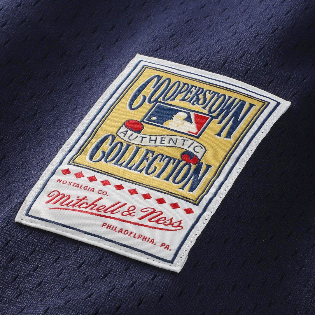 Ozzie Smith St. Louis Cardinals Mitchell & Ness Authentic Batting Practice Jersey - Navy | MLB Fan Gear