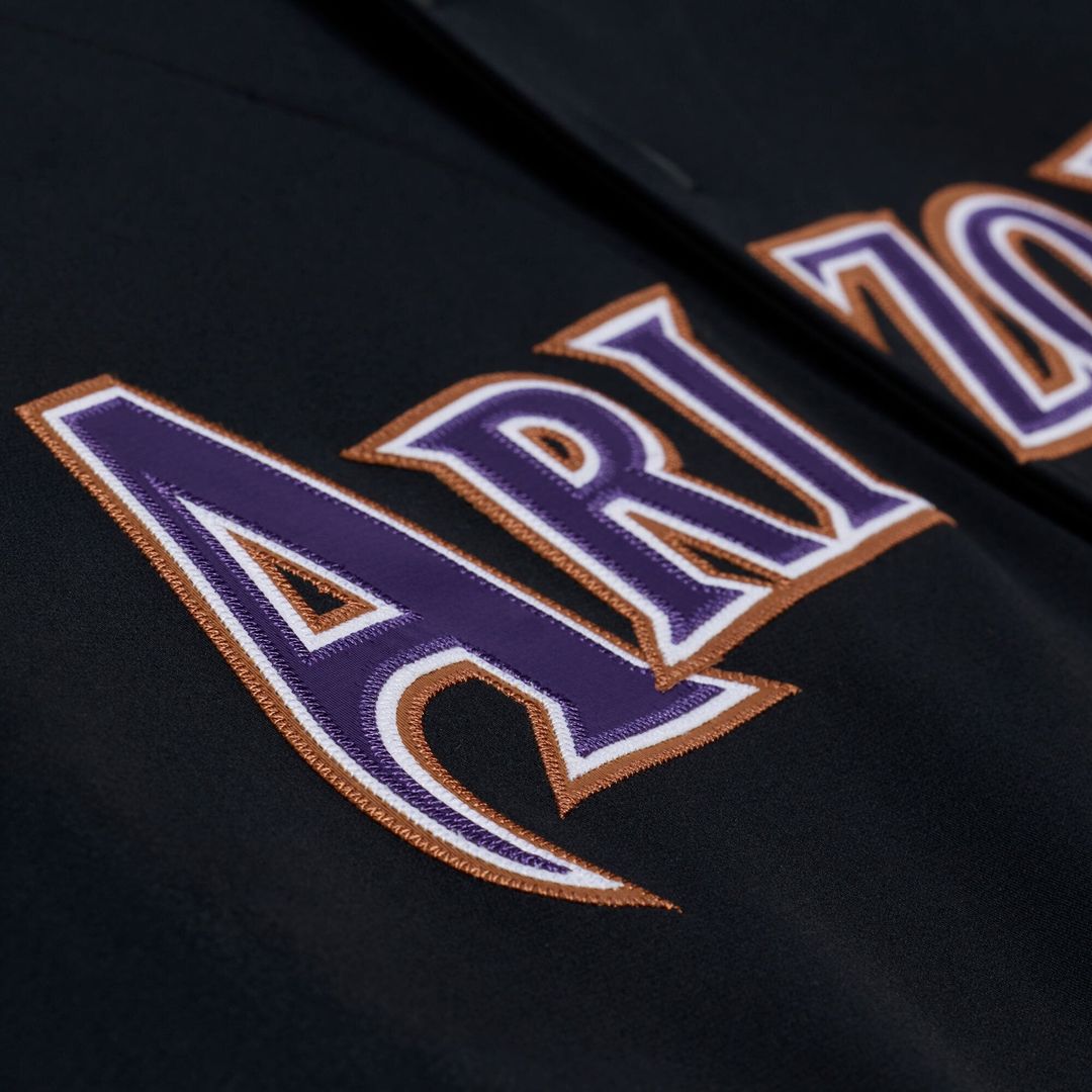 Randy Johnson Arizona Diamondbacks Mitchell & Ness 2000 Throwback Authentic Jersey - Purple | MLB Fan Gear
