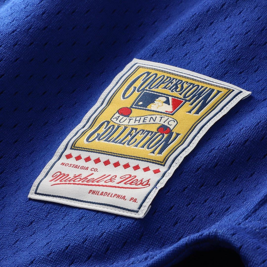 Ryne Sandberg Chicago Cubs Mitchell & Ness Cooperstown Collection 1996 Mesh Batting Practice Button-Up Jersey - Royal | MLB Fan Gear