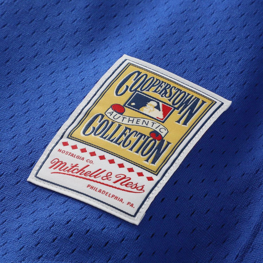 Bo Jackson Kansas City Royals Mitchell & Ness Authentic Batting Practice Jersey - Royal | MLB Fan Gear