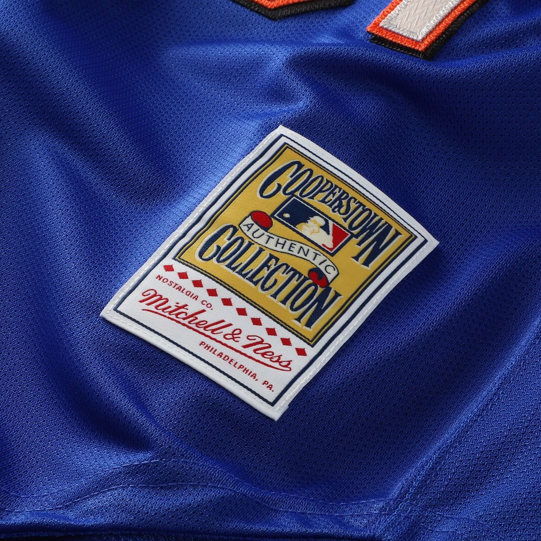 Mike Piazza New York Mets Mitchell & Ness Cooperstown Collection Mesh Batting Practice Button-Up Jersey - Royal | MLB Fan Gear
