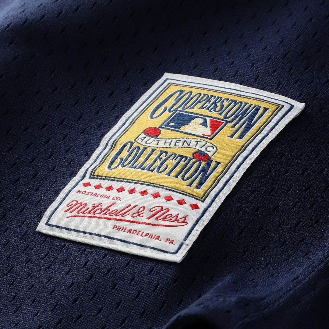 Carlton Fisk Chicago White Sox Mitchell & Ness Authentic Batting Practice Jersey - Navy | MLB Fan Gear