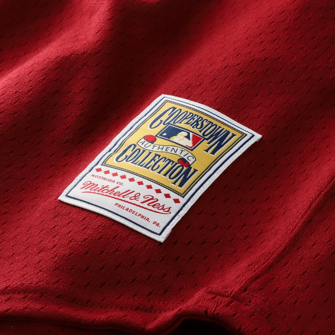Darren Daulton Philadelphia Phillies Mitchell & Ness Authentic Batting Practice Jersey - Scarlet | MLB Fan Gear