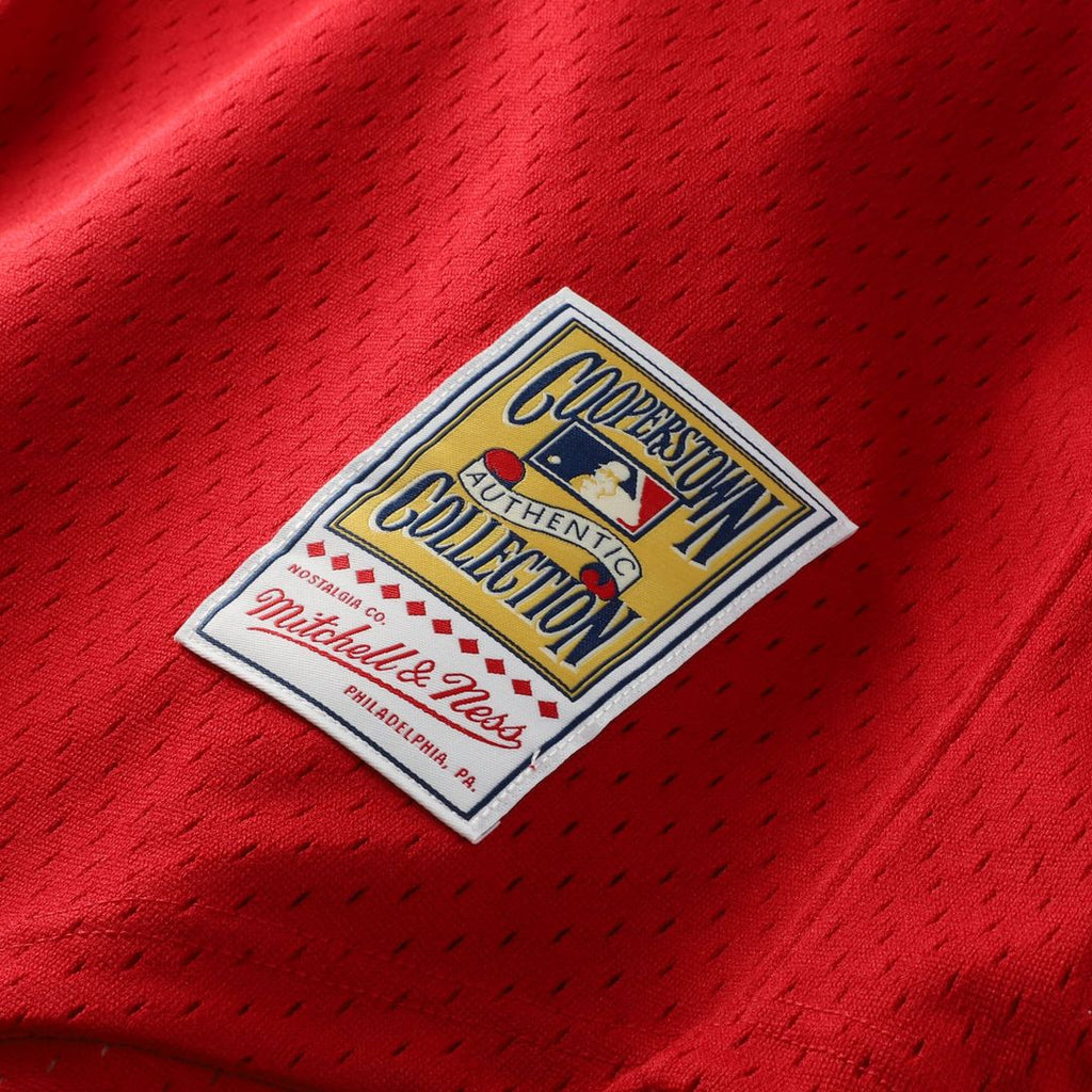 Ozzie Smith St. Louis Cardinals Mitchell & Ness Authentic Batting Practice Jersey - Navy | MLB Fan Gear